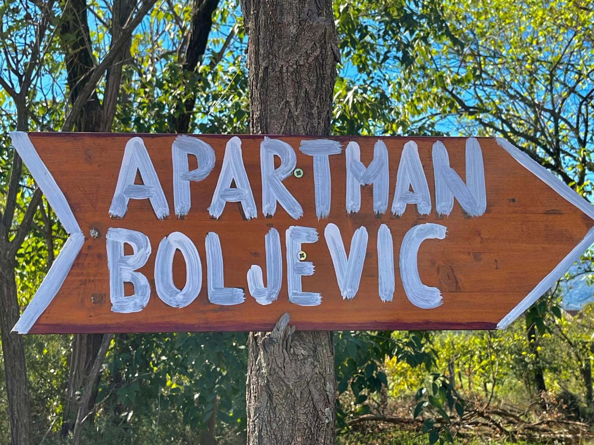 Apartman Boljevic Podgorica Ngoại thất bức ảnh
